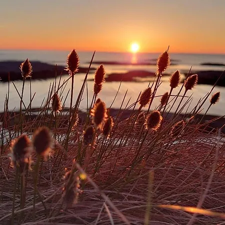 Vik I Vakre Flatanger